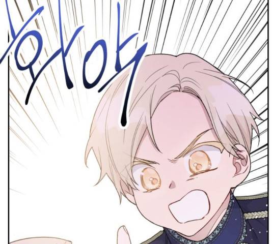 그 기사가 레이디로 사는 법 49화 108