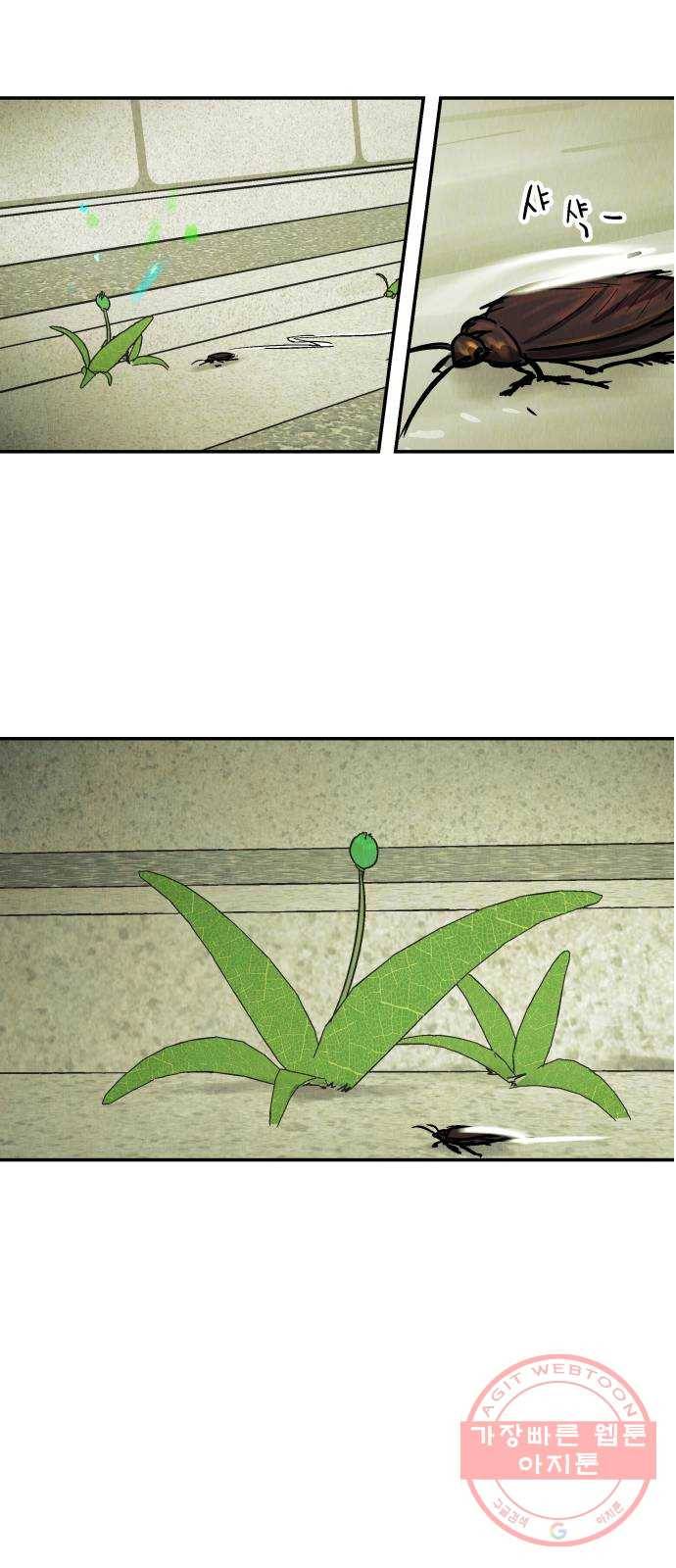 반짝반짝 작은 눈 33화 49