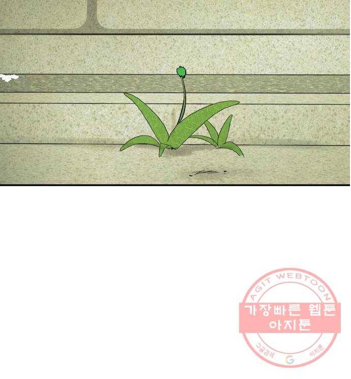 반짝반짝 작은 눈 33화 51