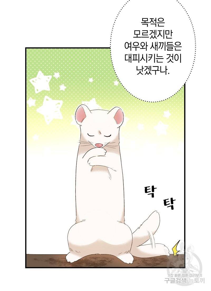 흰 족제비 양에게 죽음을! 2화 4