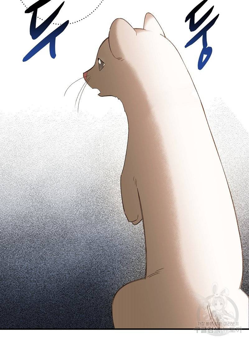 흰 족제비 양에게 죽음을! 2화 8