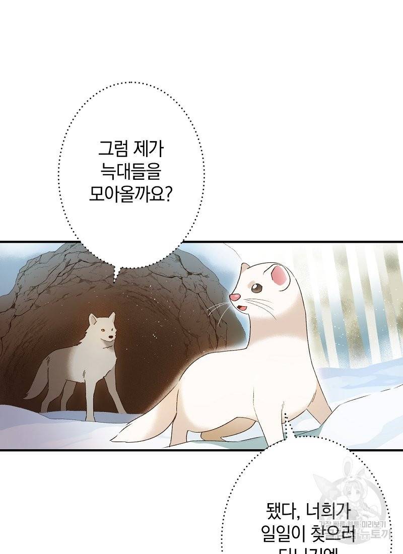 흰 족제비 양에게 죽음을! 2화 11