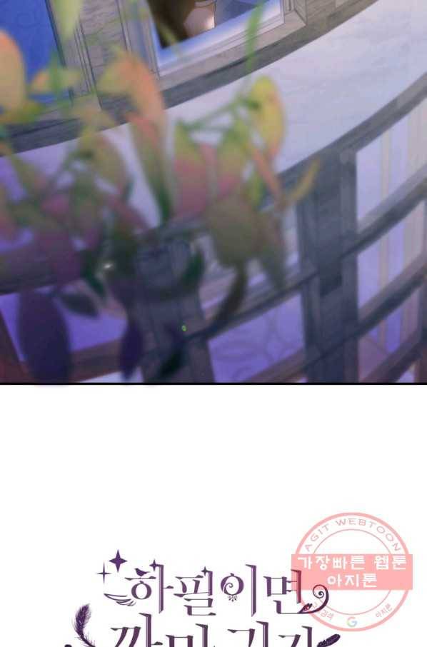 하필이면 까마귀가 되어버렸다 14화 41