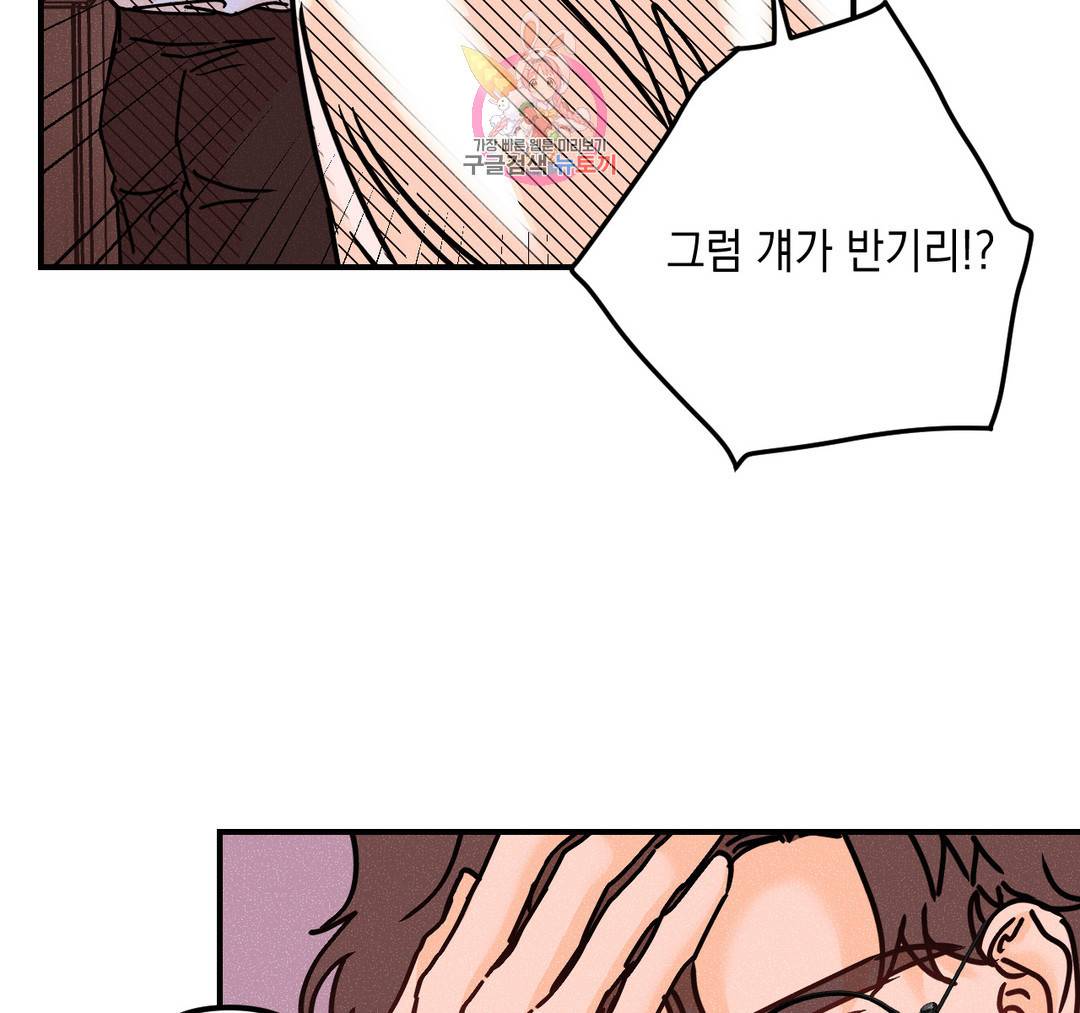 펑크 덩크 펑크 48화 13