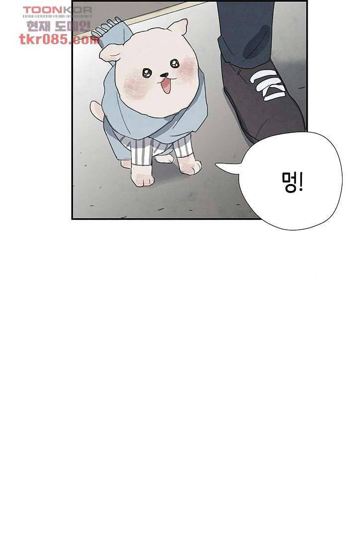 마이 러블리 투투 21화 4