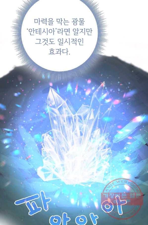 스폰테 데이 14화 11