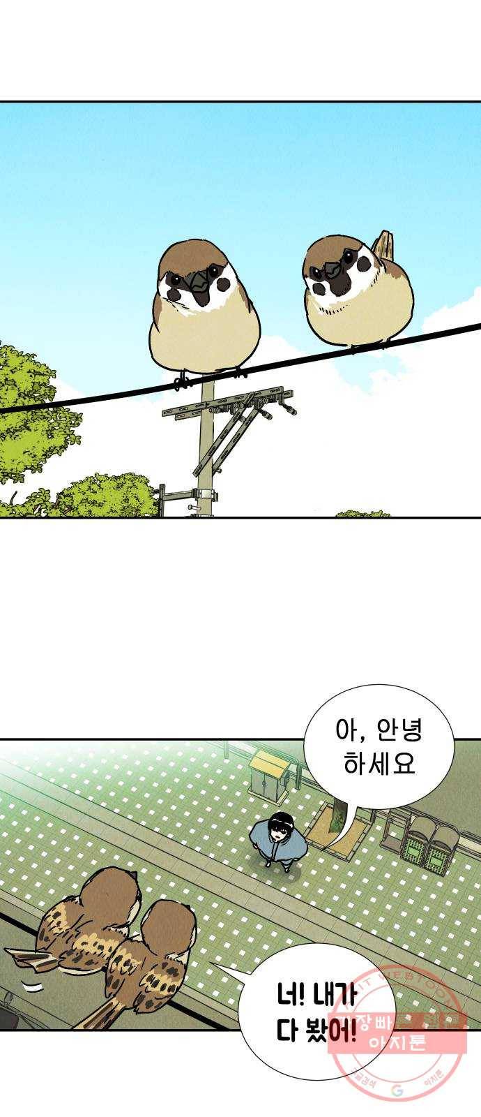 반짝반짝 작은 눈 38화 8