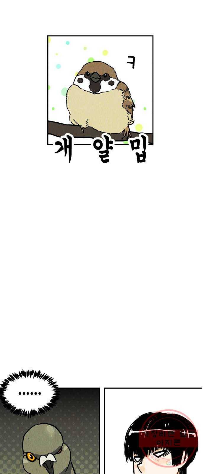 반짝반짝 작은 눈 38화 38