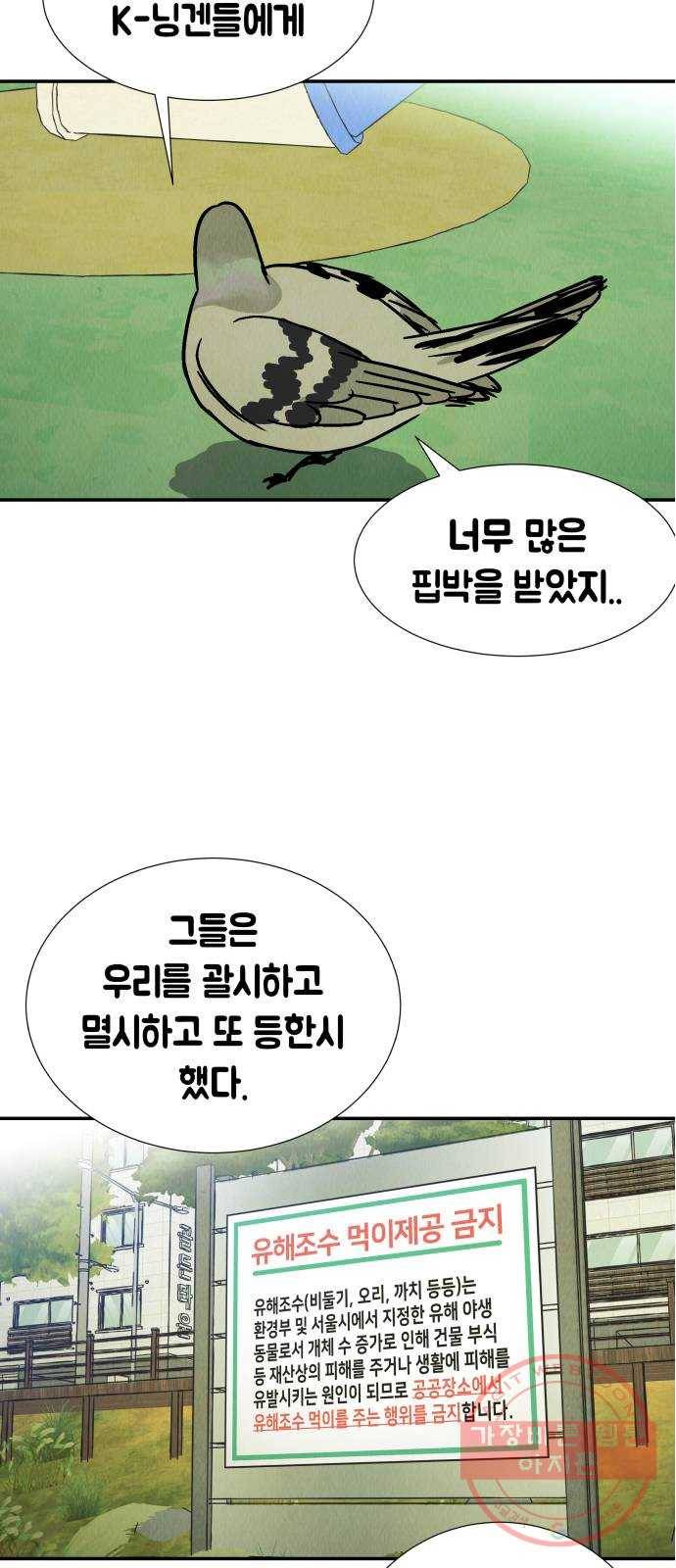 반짝반짝 작은 눈 38화 42