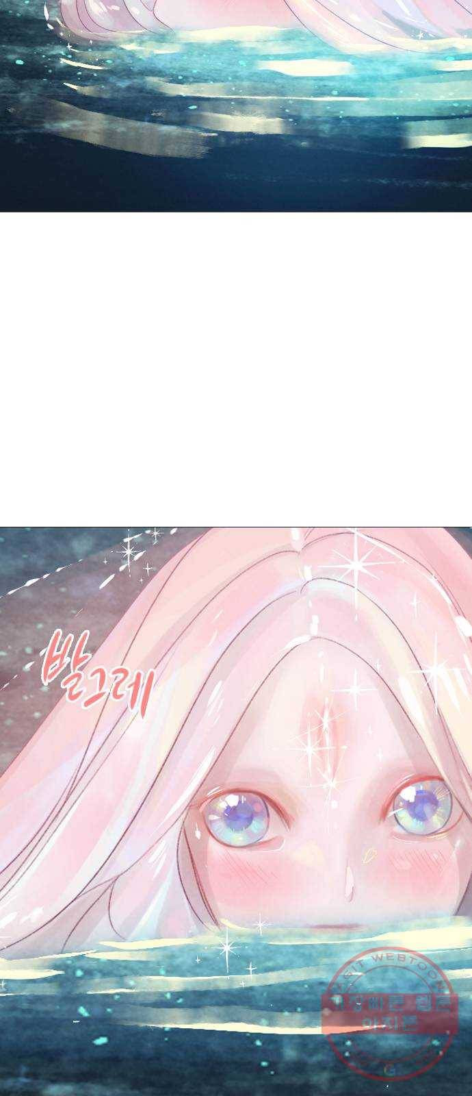 신비 마지막 화 81