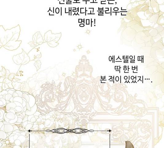 그 기사가 레이디로 사는 법 55화 130