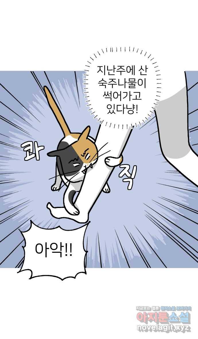 애옹식당 15화 냉장고에서 썩고 있는 것 13