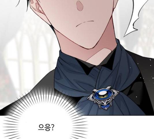 그 기사가 레이디로 사는 법 56화 52