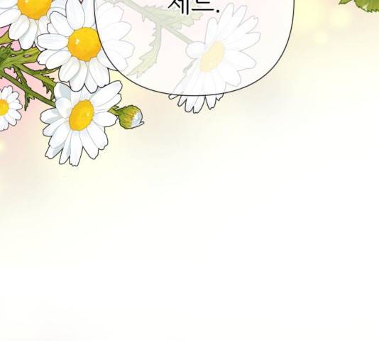 그 기사가 레이디로 사는 법 56화 182