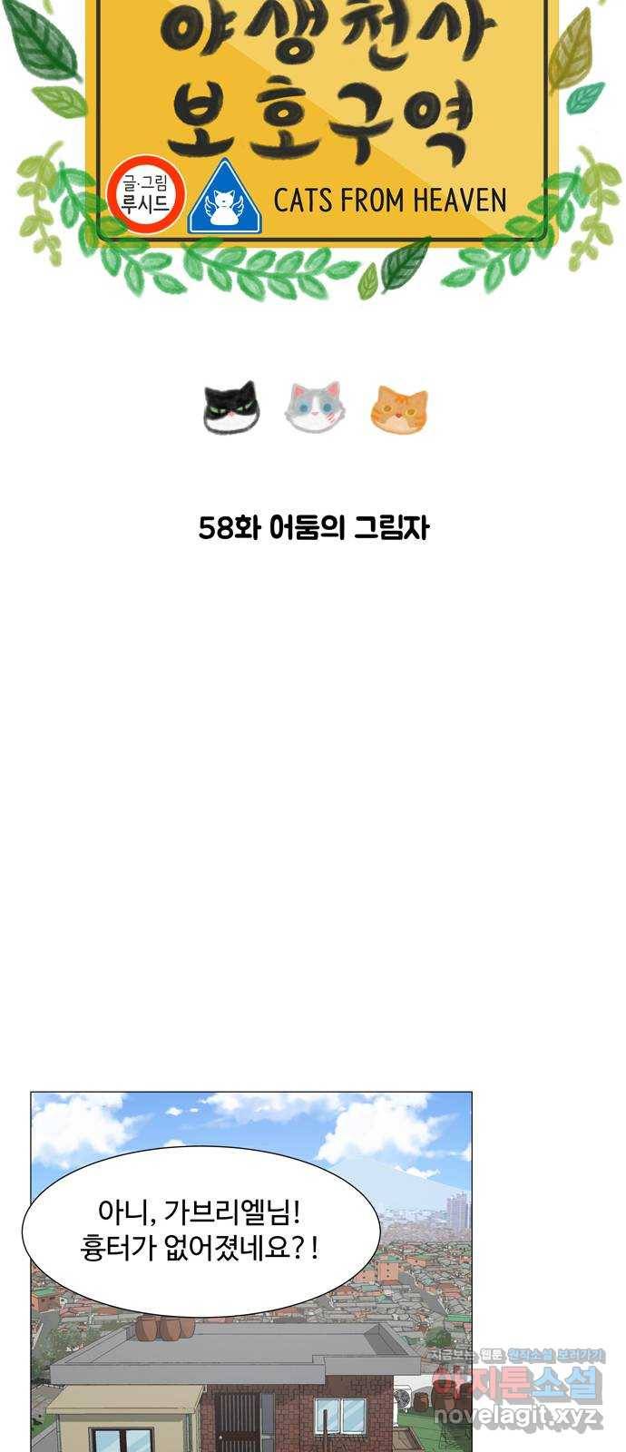 야생천사 보호구역 58화 어둠의 그림자 11