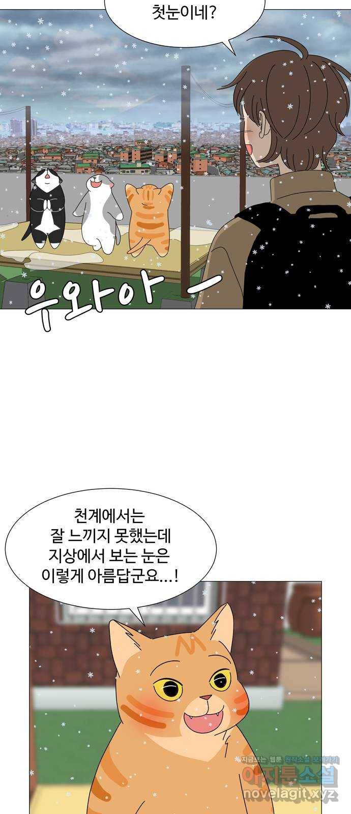 야생천사 보호구역 58화 어둠의 그림자 20