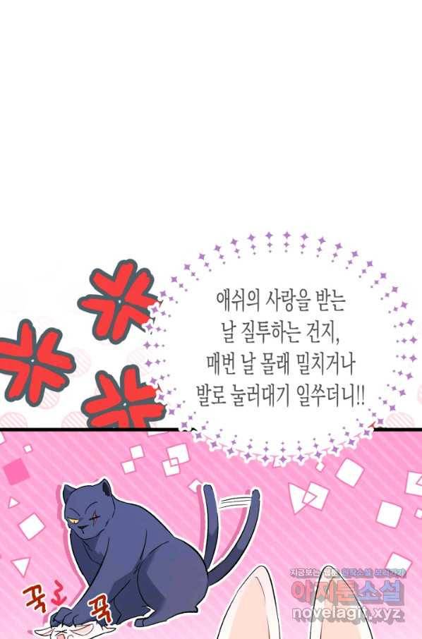 토끼와 흑표범의 공생관계 56화 13