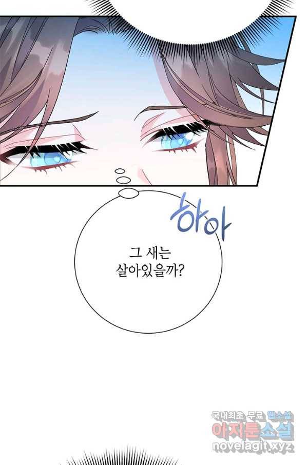 전령새 왕녀님 44화 11