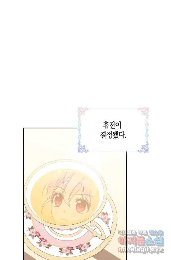 악당 대공님의 귀하디귀한 여동생 70화 3