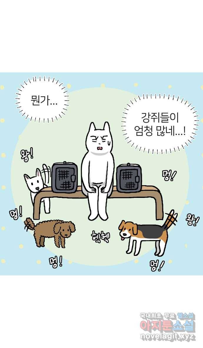 애옹식당 22화 건강검진 DAY 5