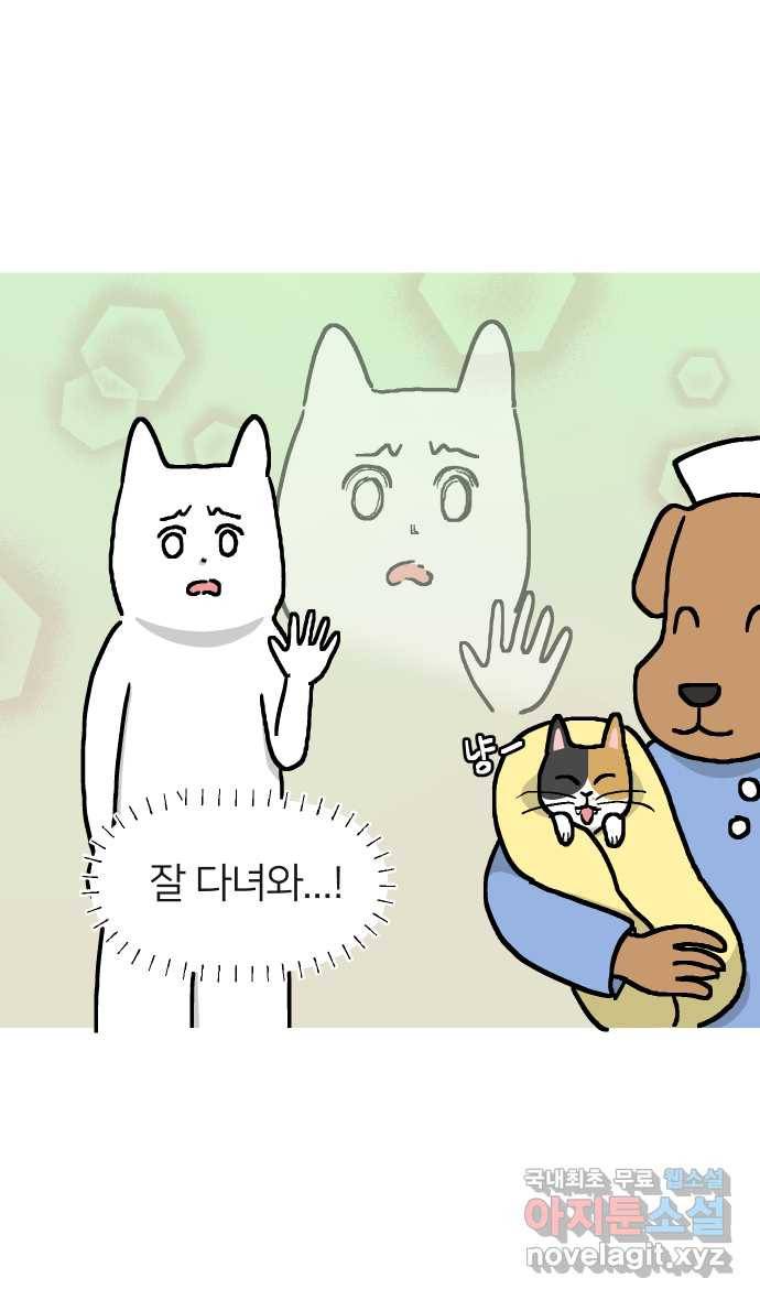 애옹식당 22화 건강검진 DAY 13