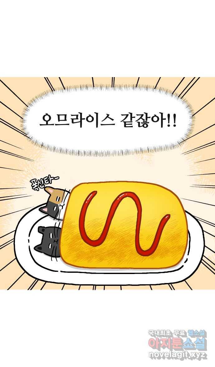 애옹식당 22화 건강검진 DAY 15