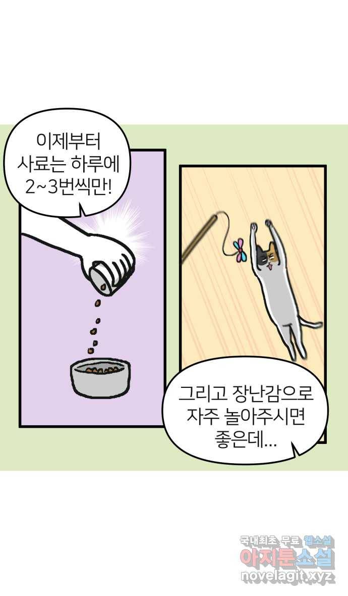 애옹식당 22화 건강검진 DAY 32