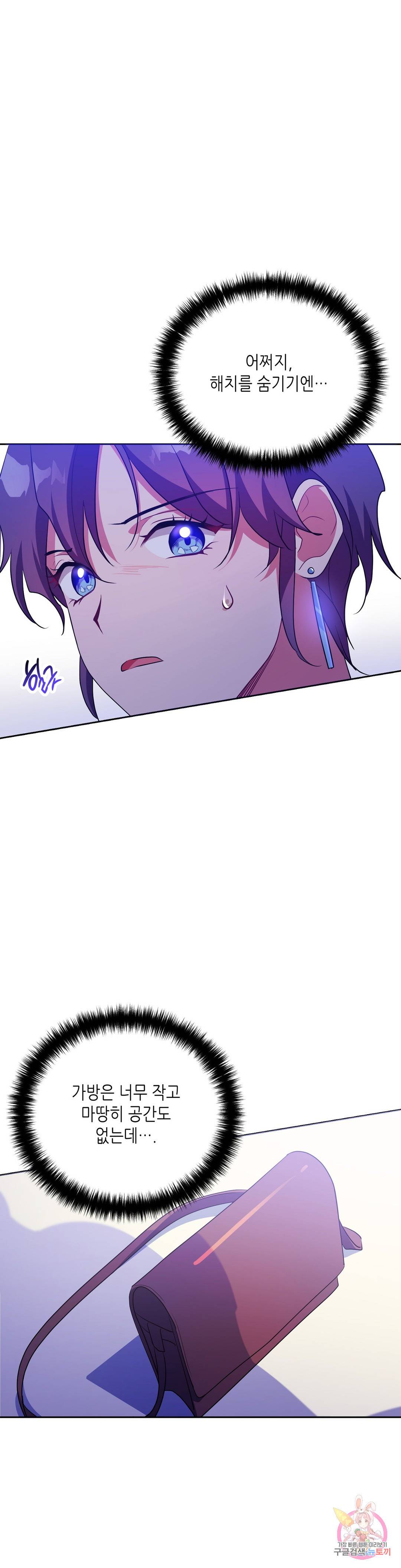 소양공주와 해치 25화 6