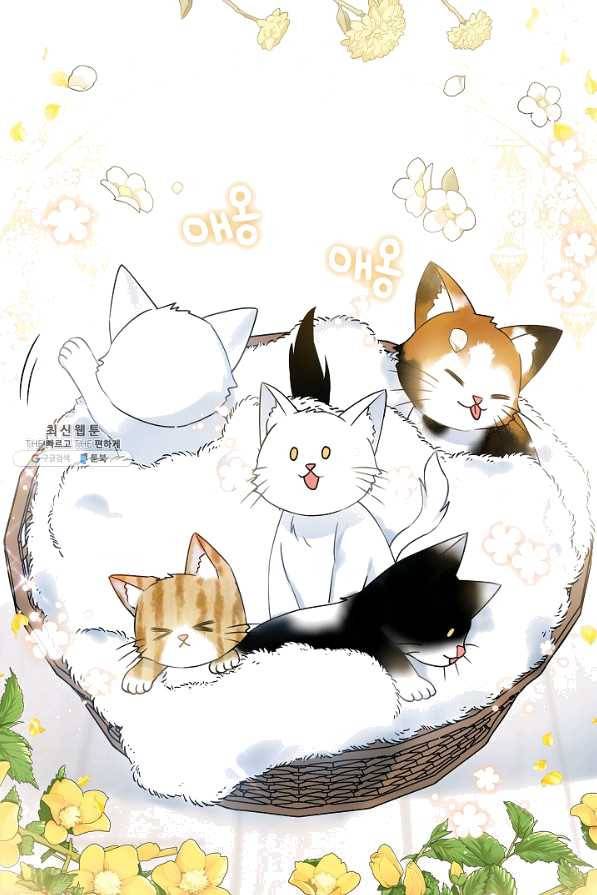 병약한? 남편의 계약 아내 35화 9