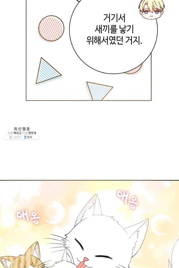 병약한? 남편의 계약 아내 35화 12