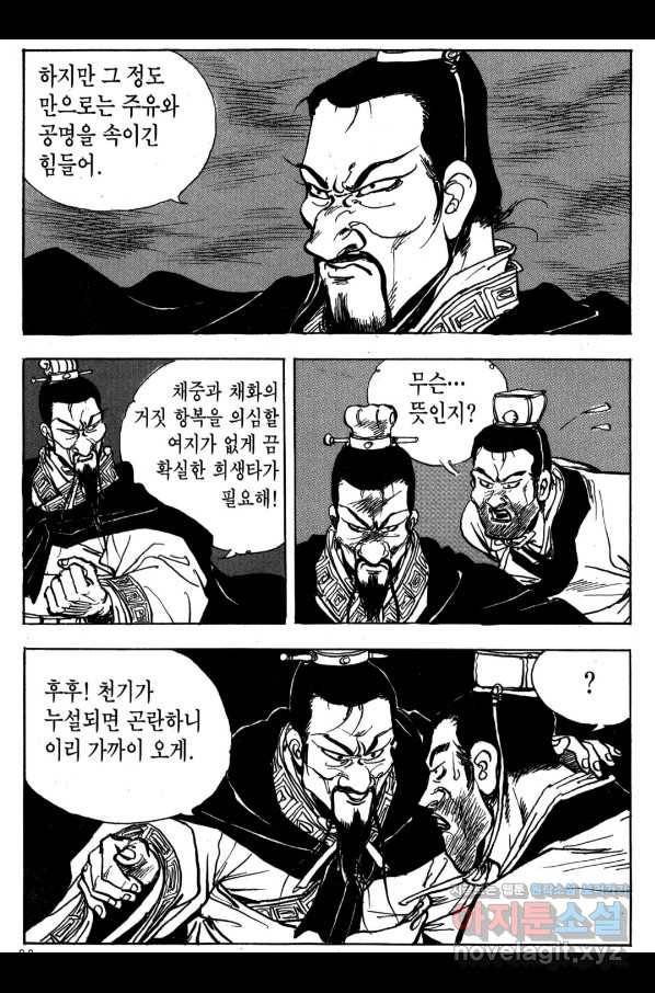 박봉성 삼국지 3부 19권 17