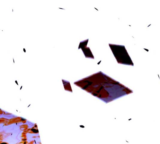 트럼프 트럼프 123화 45