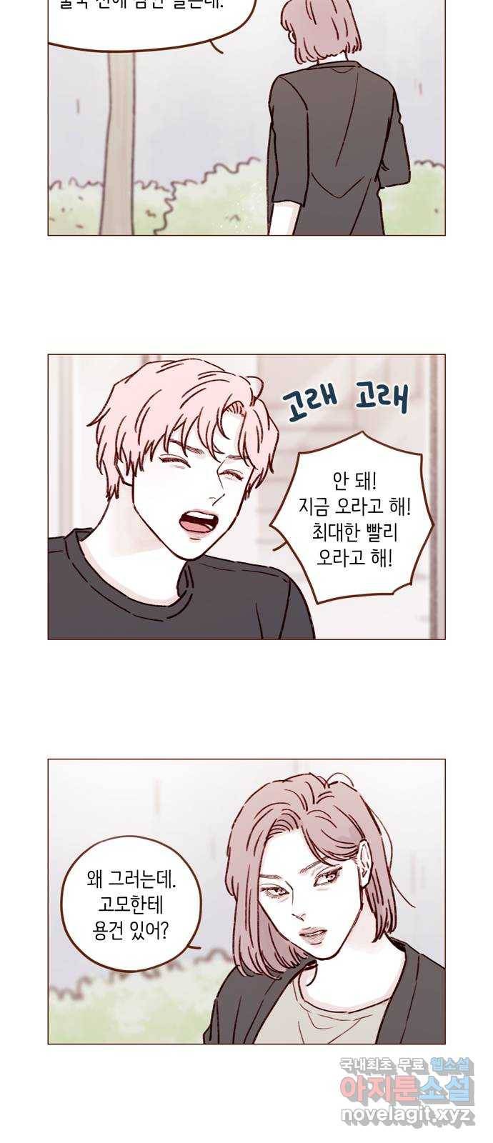 홍시는 날 좋아해! 193화 : 거짓말도 못 하는 귀염둥이♡ 4