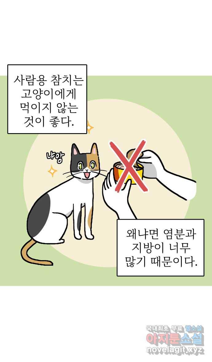 애옹식당 26화 참치는 못 참지 2