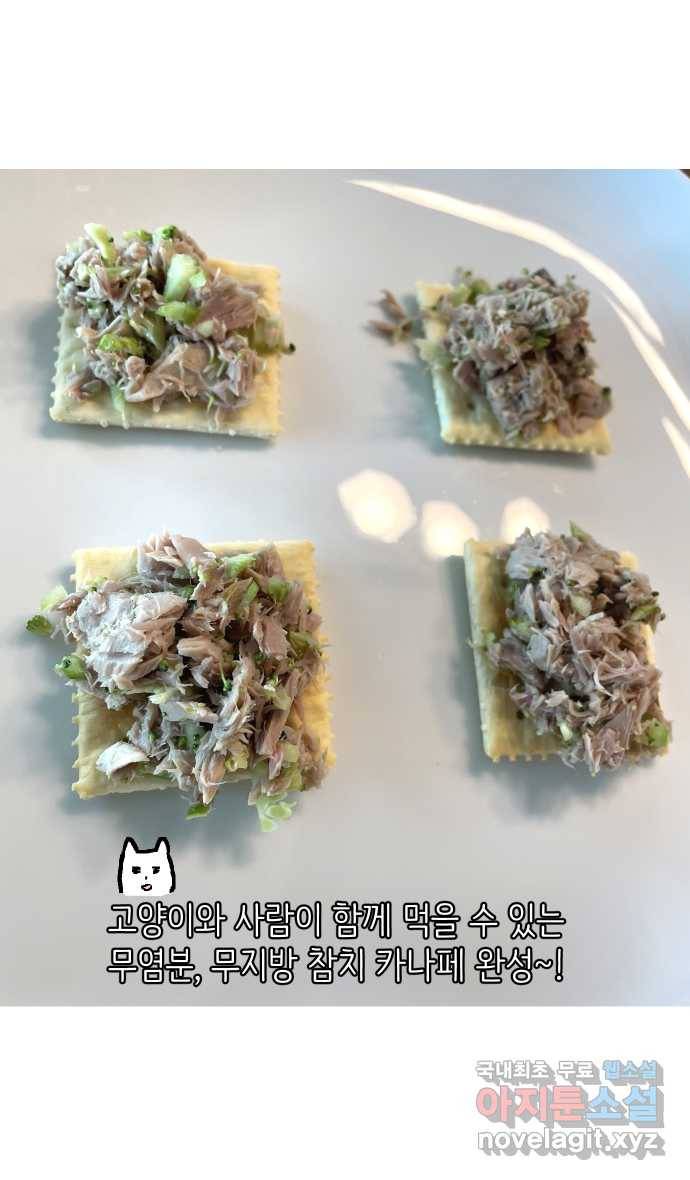 애옹식당 26화 참치는 못 참지 24