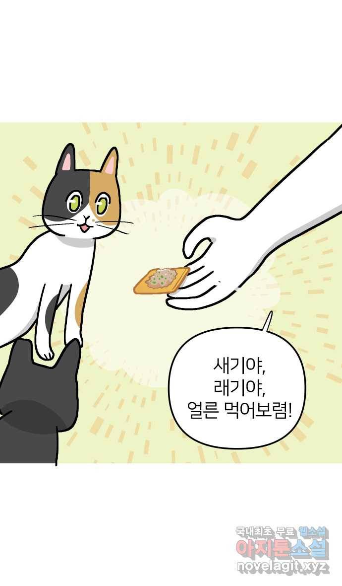 애옹식당 26화 참치는 못 참지 25