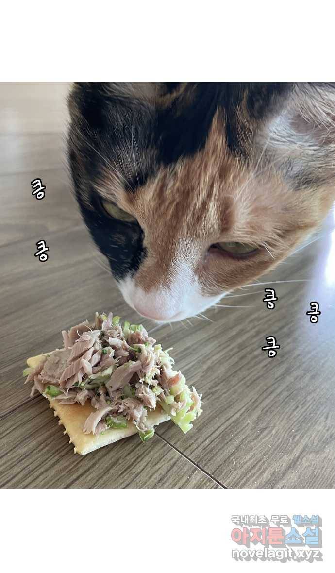 애옹식당 26화 참치는 못 참지 26
