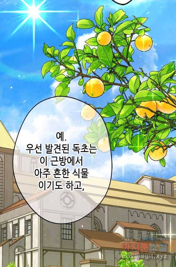 마법사는 가난해 46화 46