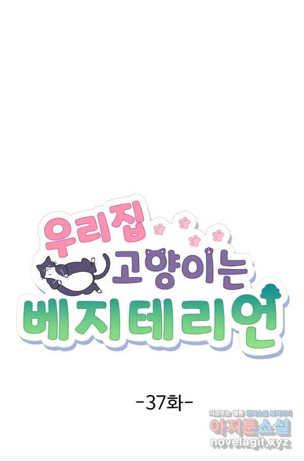 우리집 고양이는 베지테리언 37화 민태준은 육식주의자 2