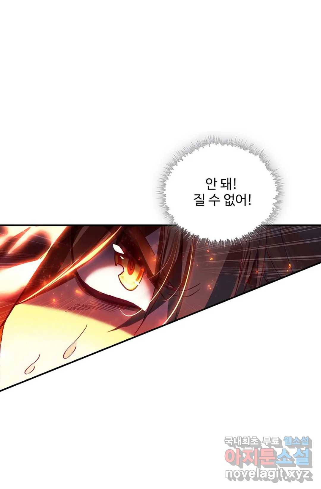 사신 영웅전: 바보 마법사 영웅이 되다 207화 28
