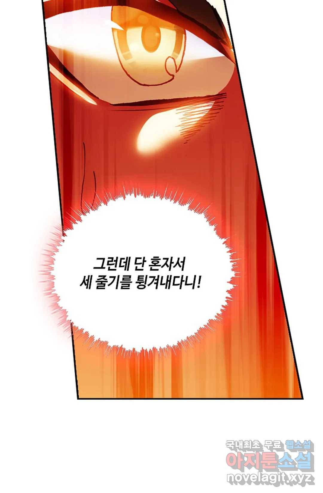 사신 영웅전: 바보 마법사 영웅이 되다 207화 66