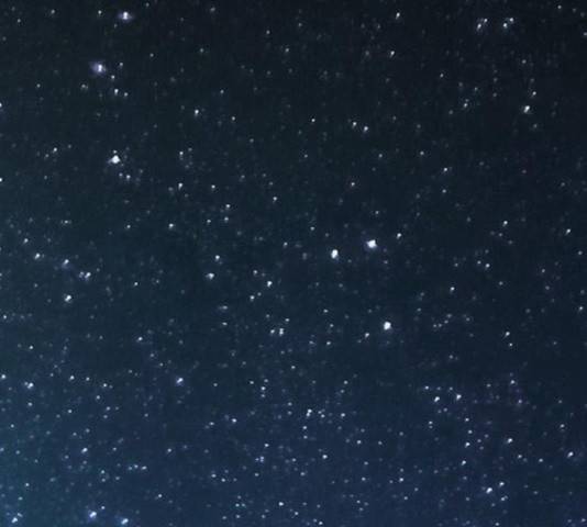 늑대처럼 홀로 26화 99