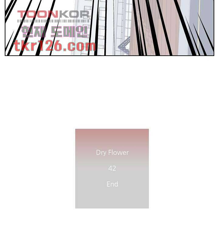 드라이 플라워 (Dry flower) 42화 47