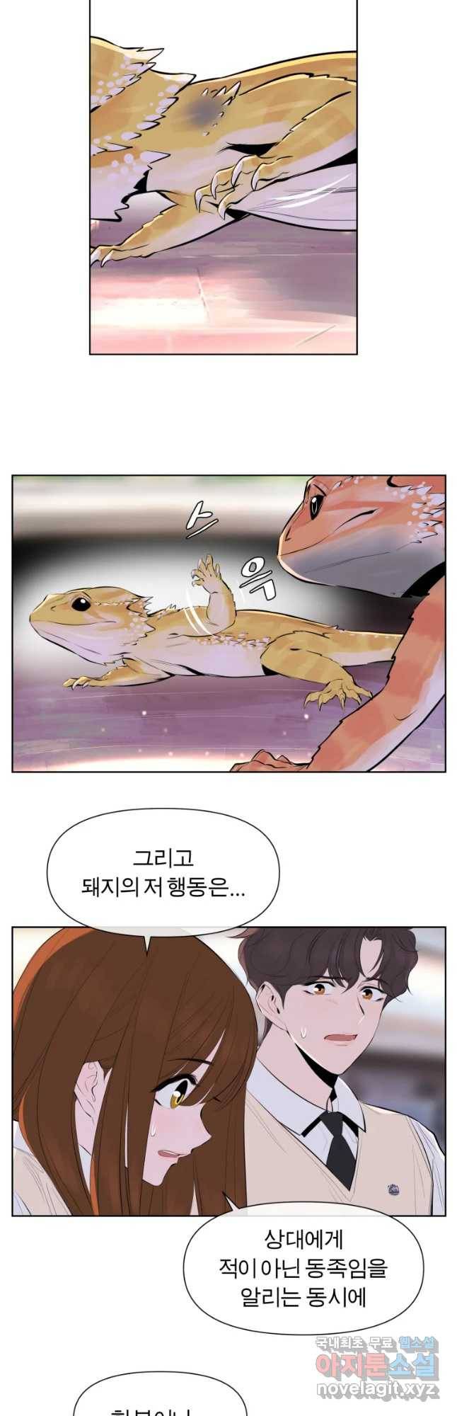 케어시트 42화 연락 14