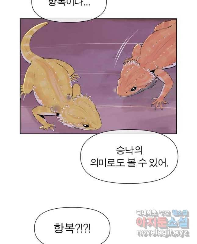 케어시트 42화 연락 15