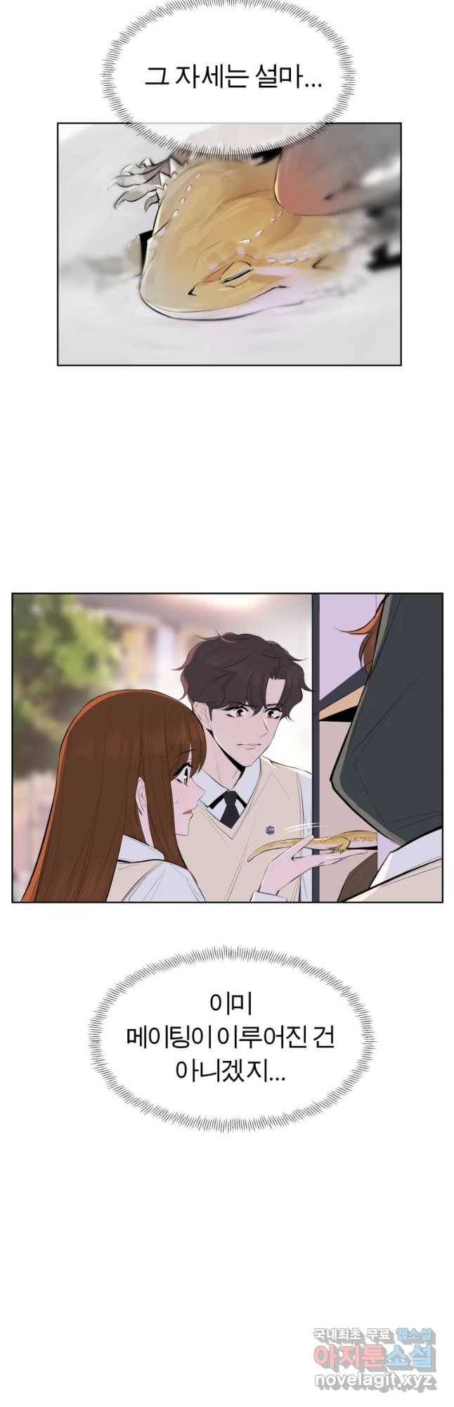 케어시트 42화 연락 17