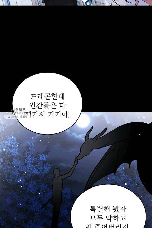 베이비 드래곤 62화 47