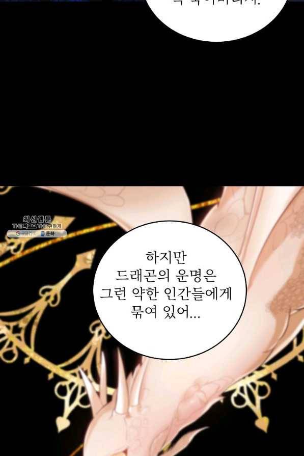 베이비 드래곤 62화 48