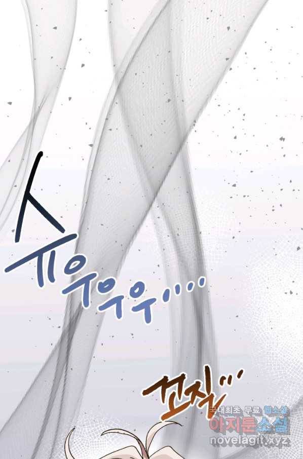 왕녀는 미친 척을 한다 65화 11