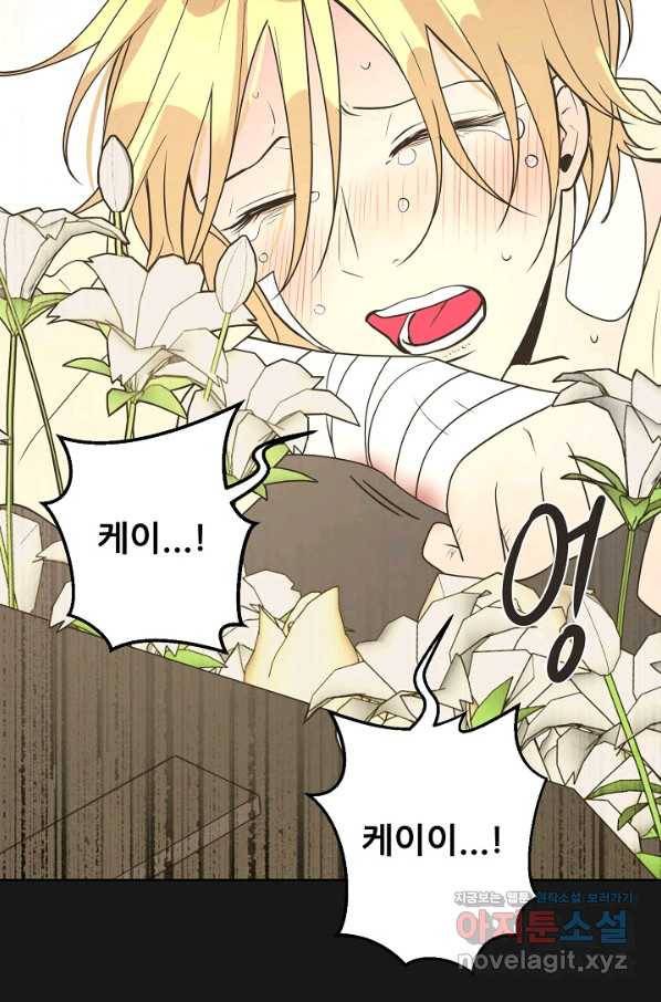 페오스 73화 15
